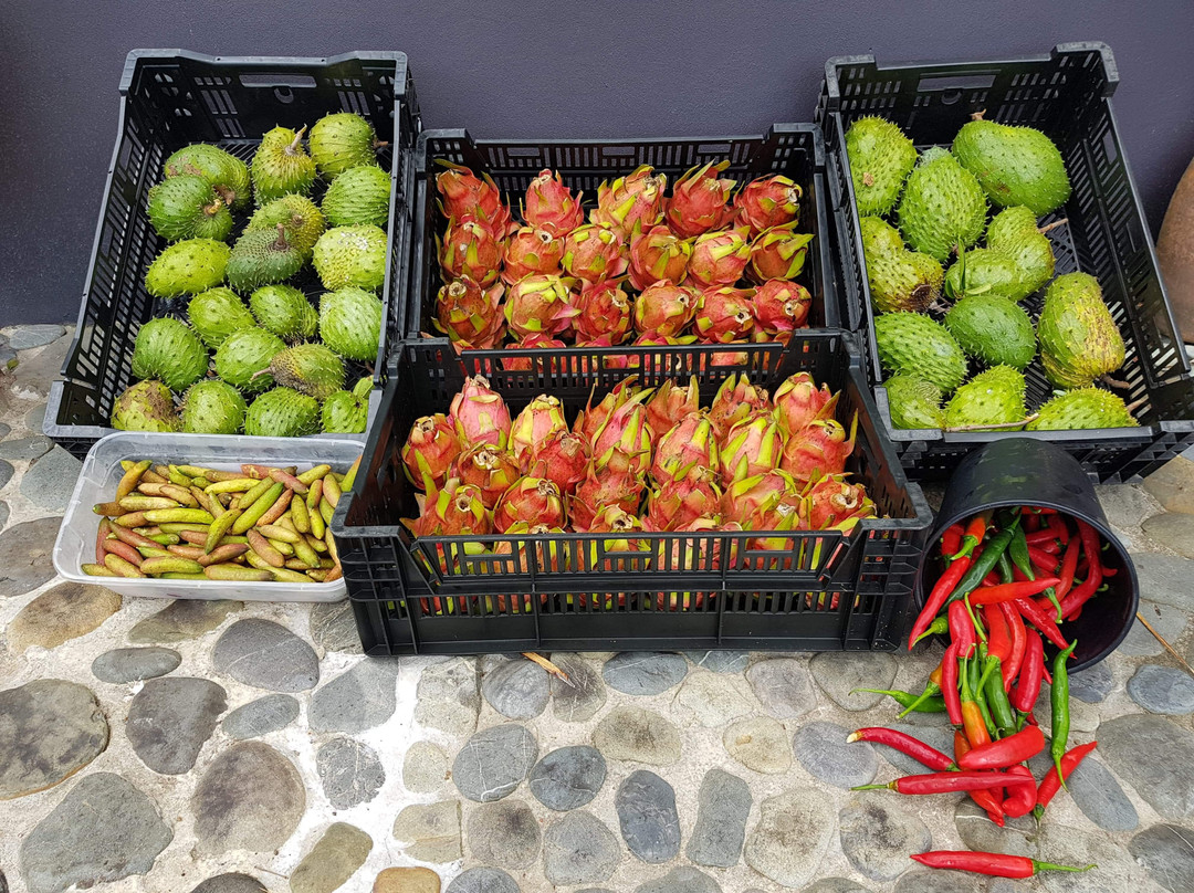 Mullumbimby Farmers Market景点图片