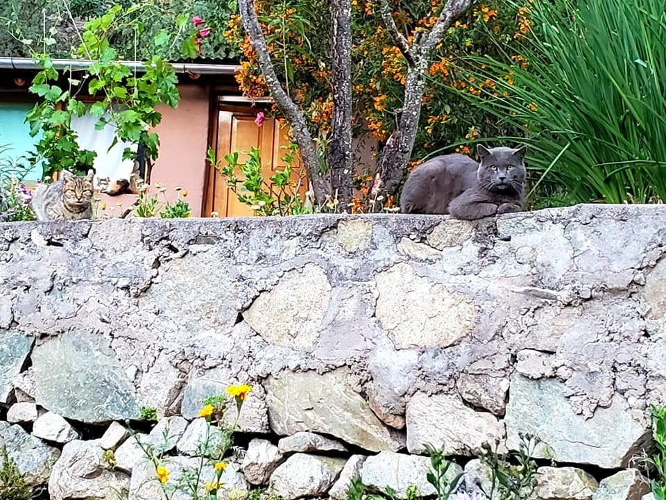 Andean Spirit Lodge主图