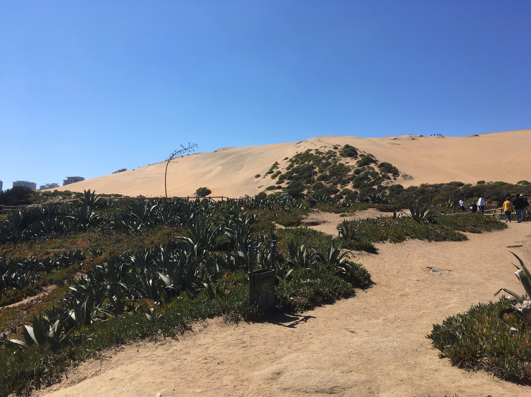 Roca Oceanica-Concon必去景点