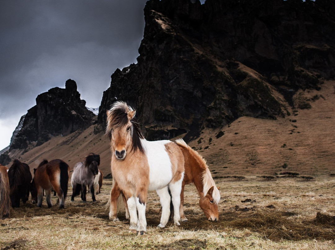 Reykjanes Tours-凯夫拉维克必去景点