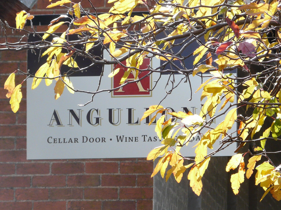 Angullong Wines-Millthorpe必去景点