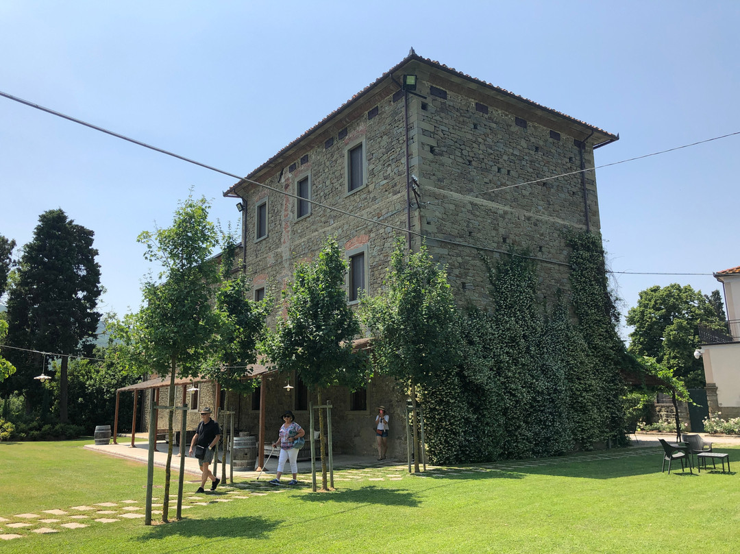 Mad About Tuscany景点图片