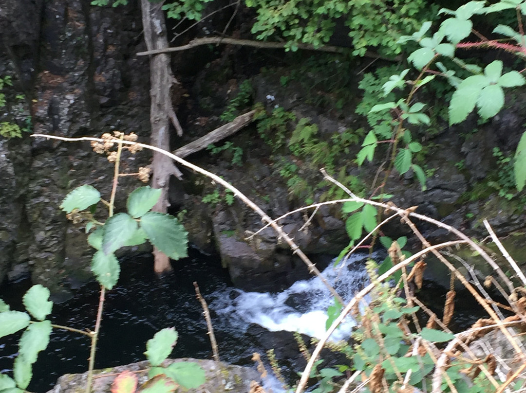Cascade du Saut de L'Ognon-Servance必去景点