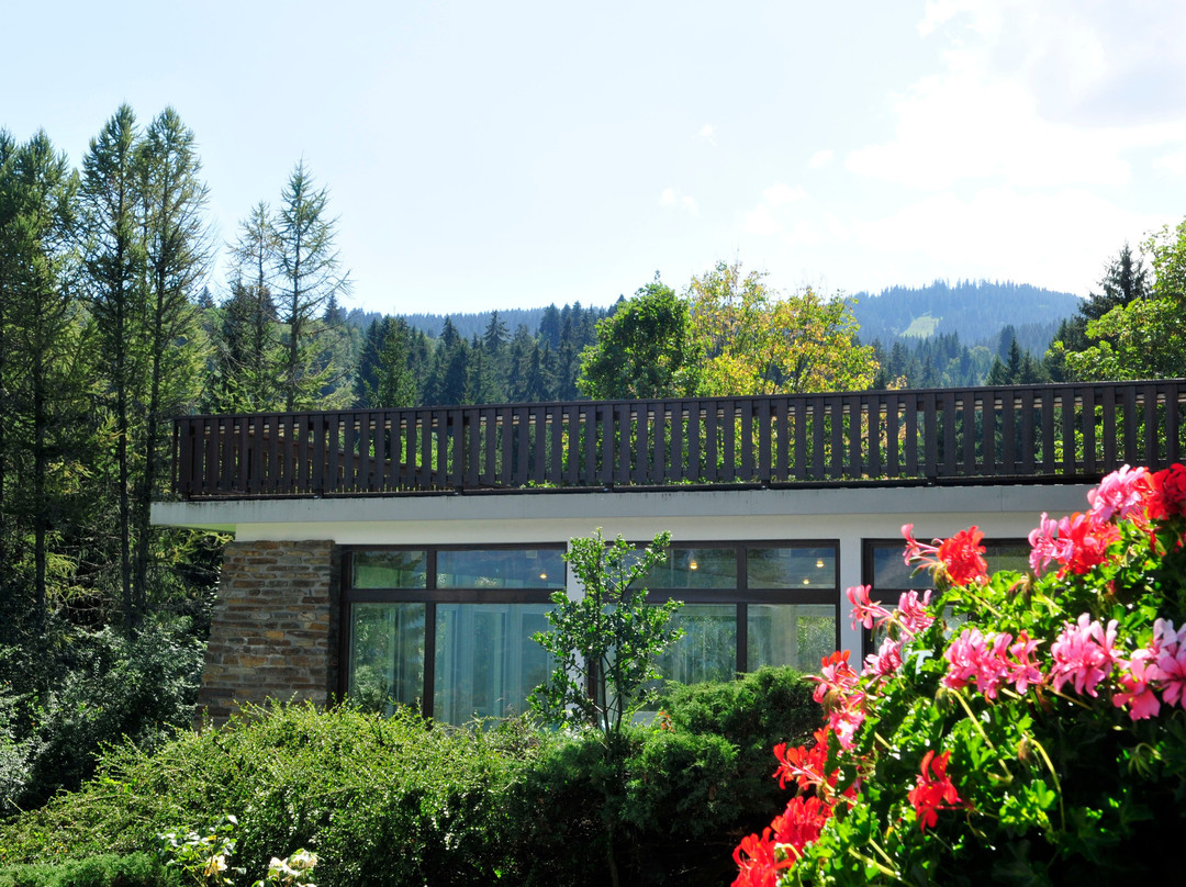 Residence & Spa La Grande Cordée主图