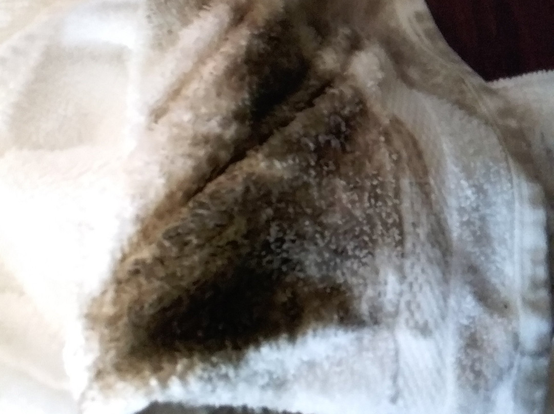 Muir Woods Lodge主图