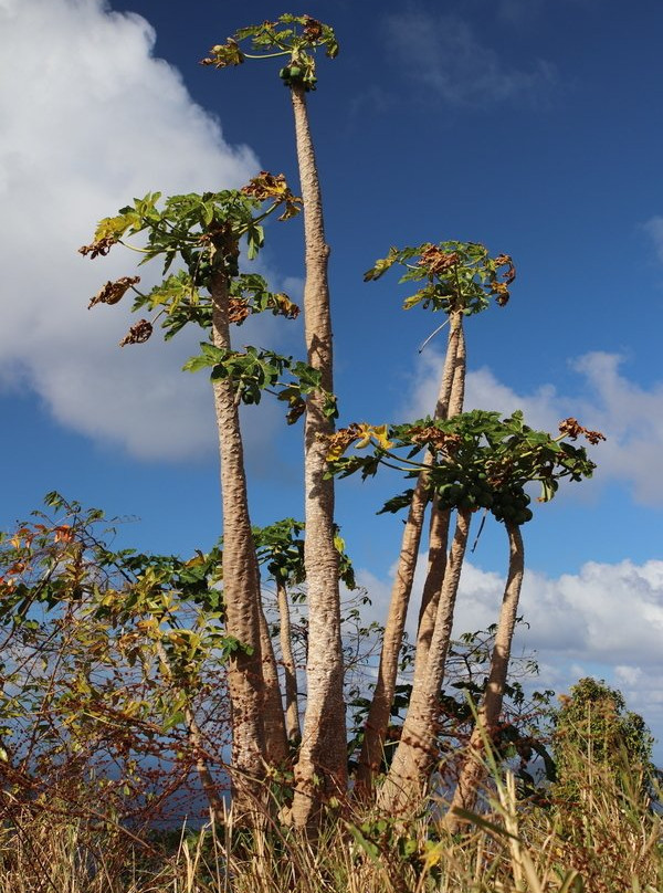 Welcome Stone-Sauteurs必去景点