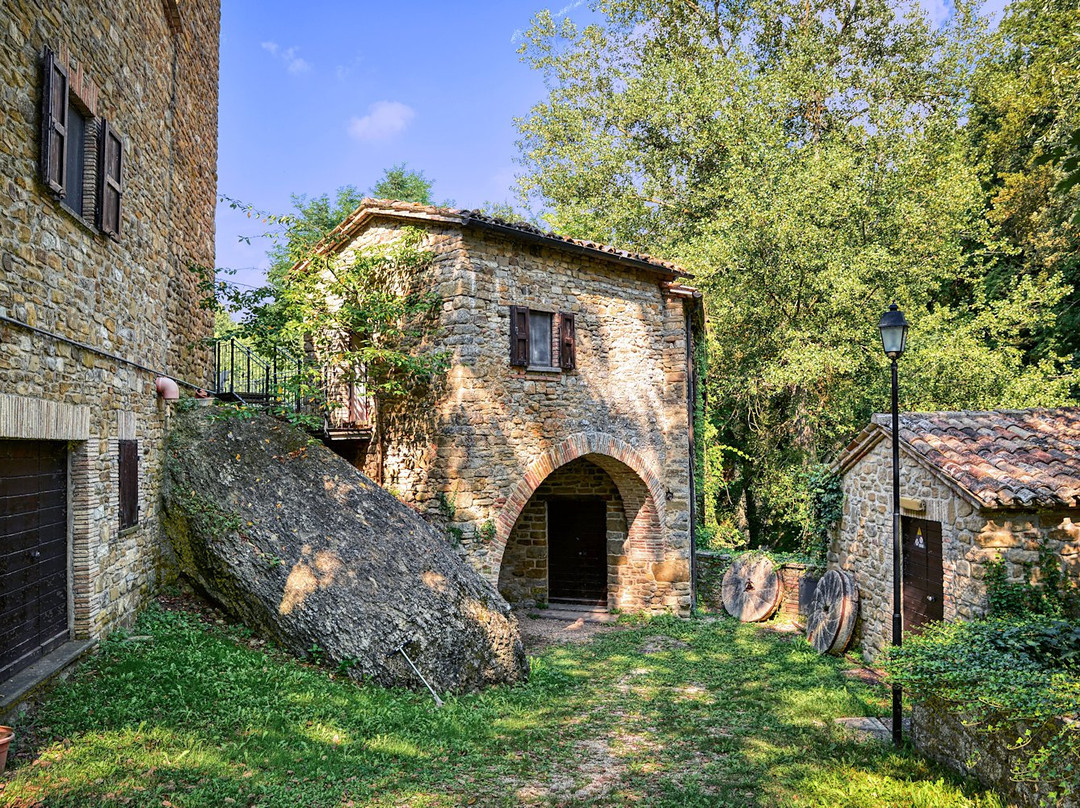 Museo Mulino Di Pontevecchio景点图片