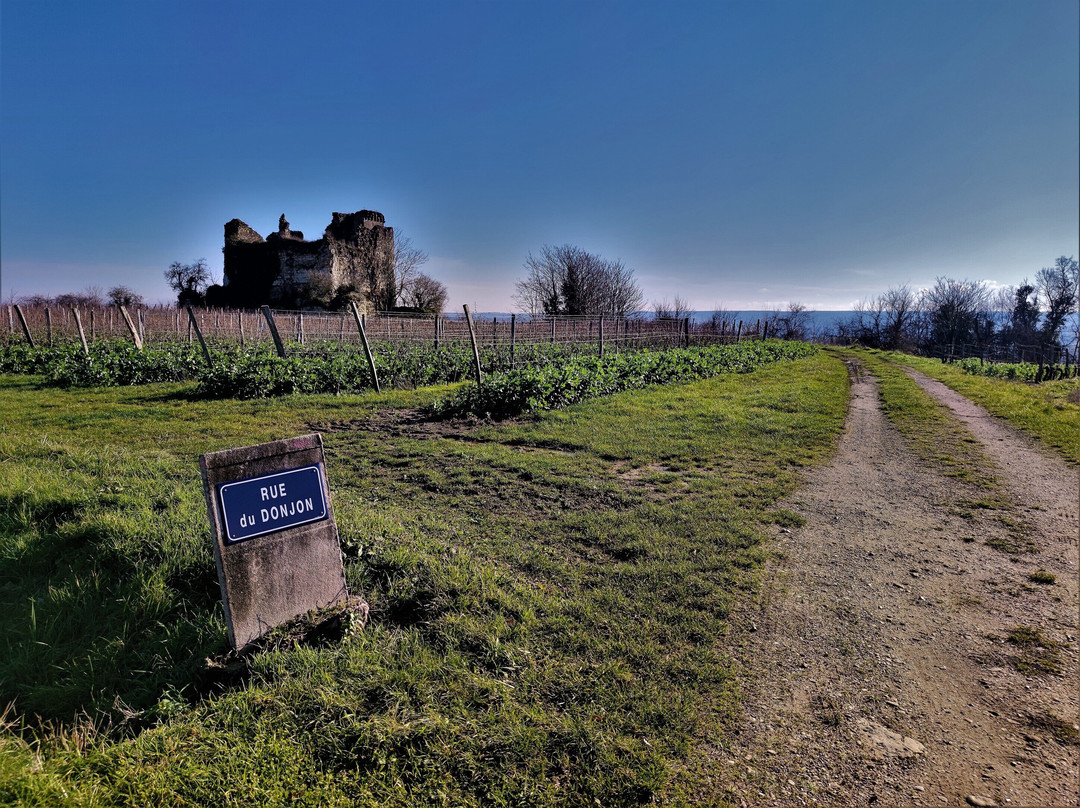 Donjons De Beaumont Ou Tour Négreteau景点图片