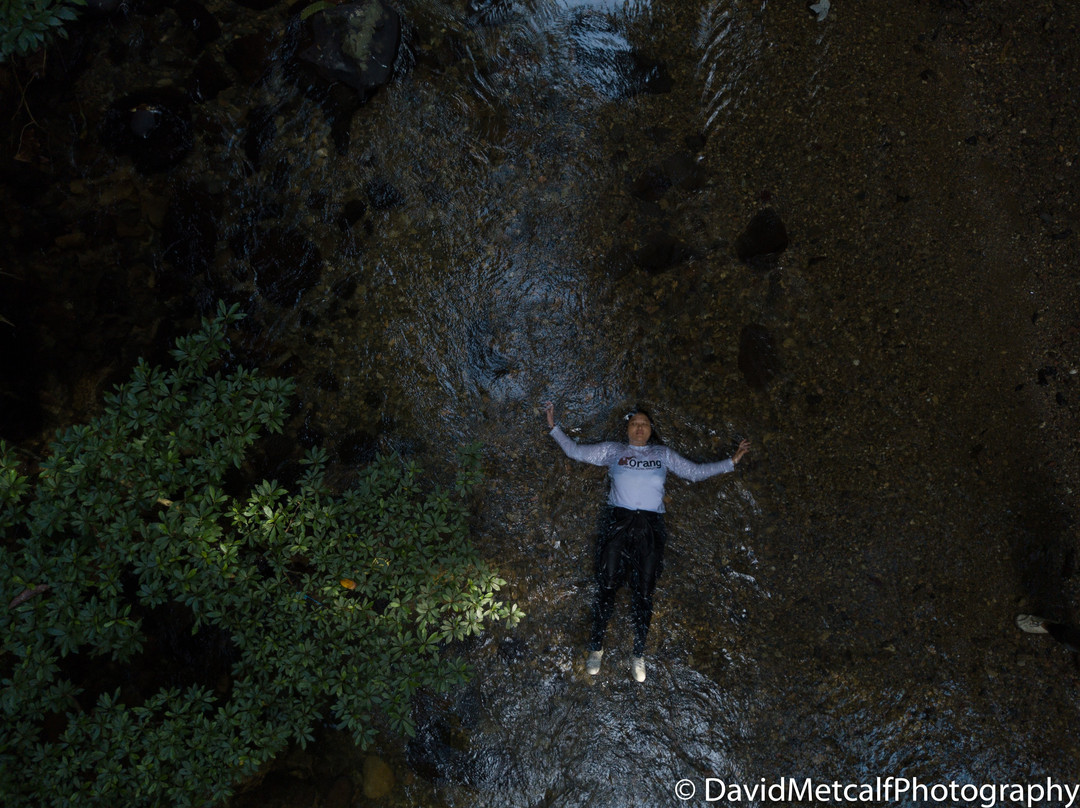 Central Borneo Guide-帕朗卡拉亚必去景点