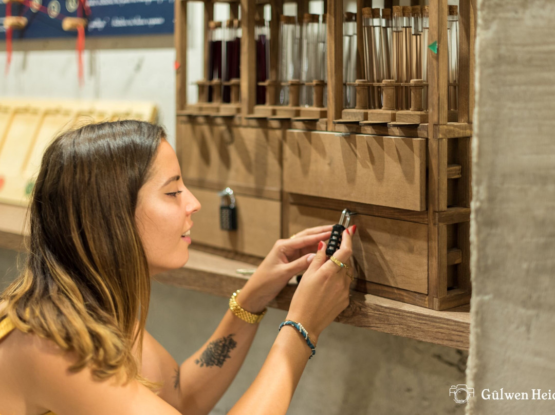 Wine Gaming: Investigation Game On The Organic Wines Of Mas D'intras