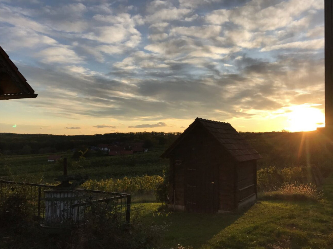Weingut Morus Kaszanits