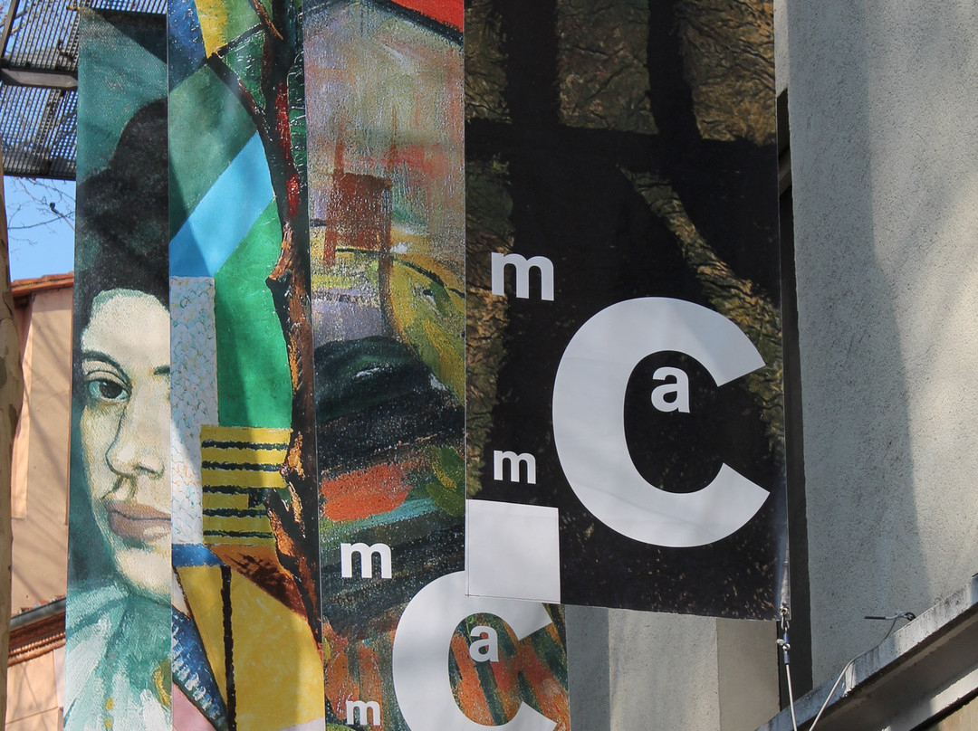 Musee d'art moderne de Ceret景点图片