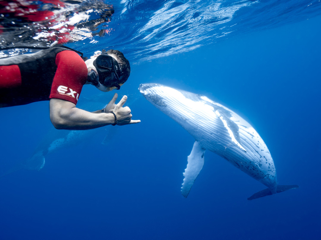 Sea Change Eco Retreat主图