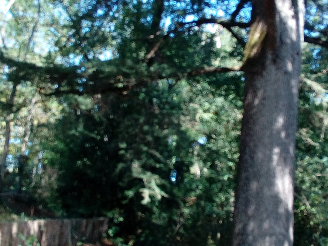 Tombe de Georges Clemenceau-Mouchamps必去景点