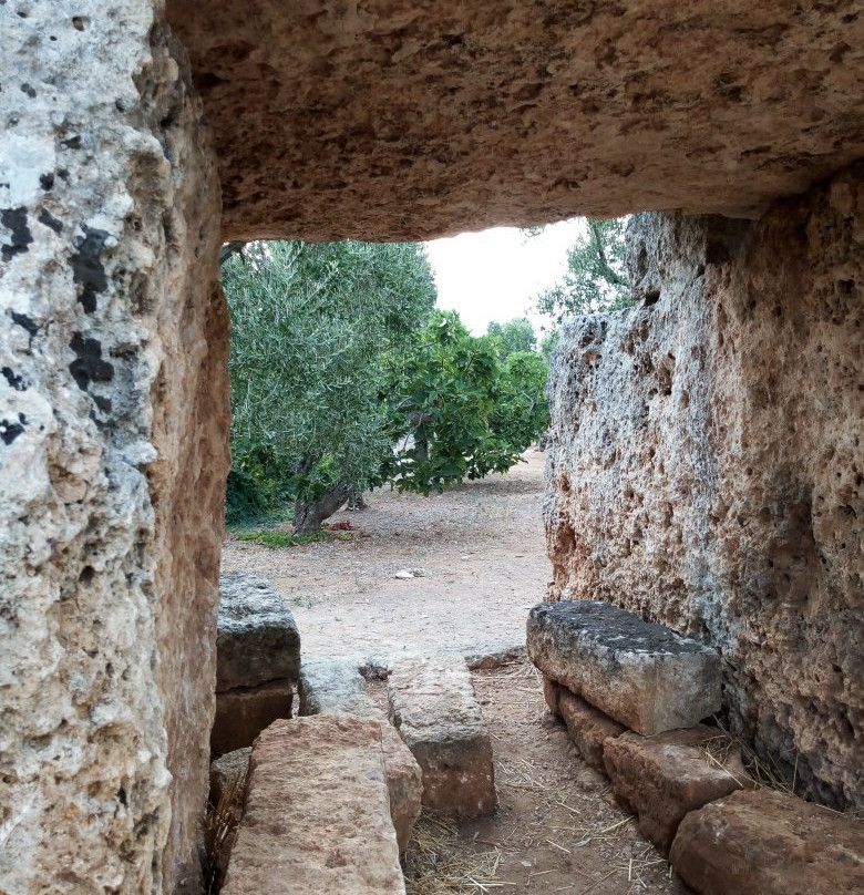 Dolmen di Montalbano景点图片