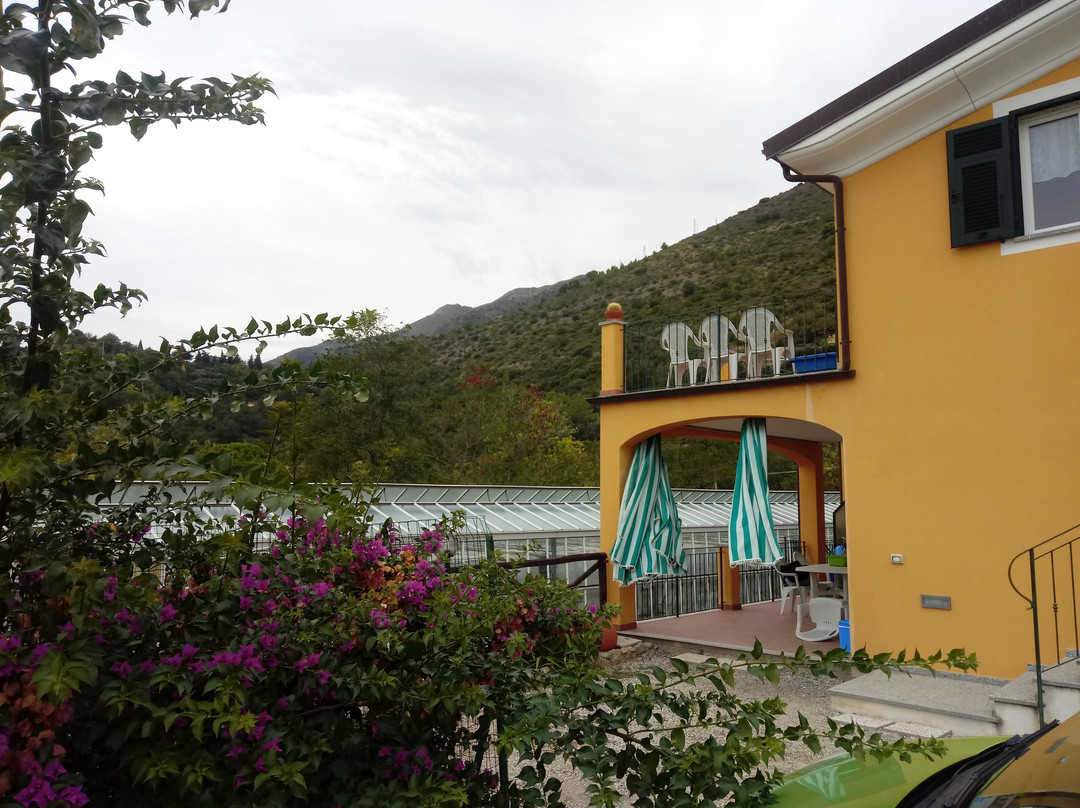 Agriturismo Tendapiccola