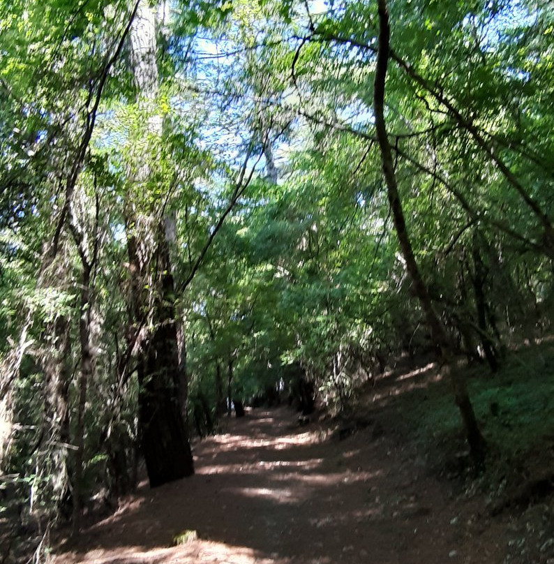 Korolenko House Museum-Dzhankhot必去景点