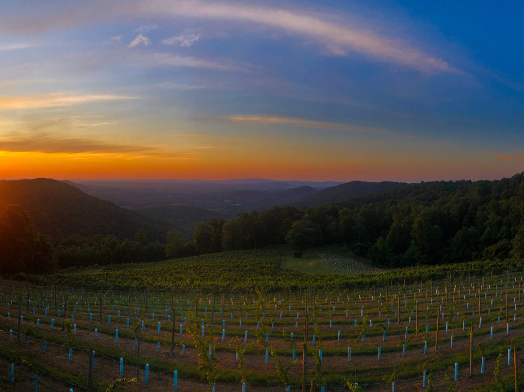 Stone Mountain Vineyards-Dyke必去景点