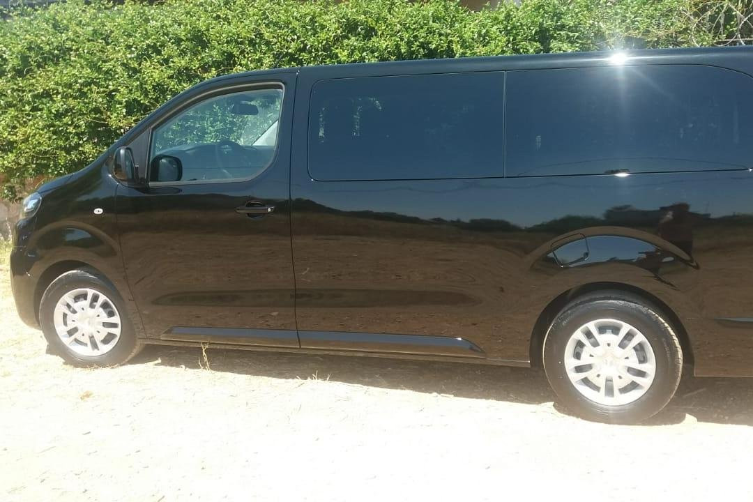 Guidess Athena Tours and Transfers-雅典必去景点