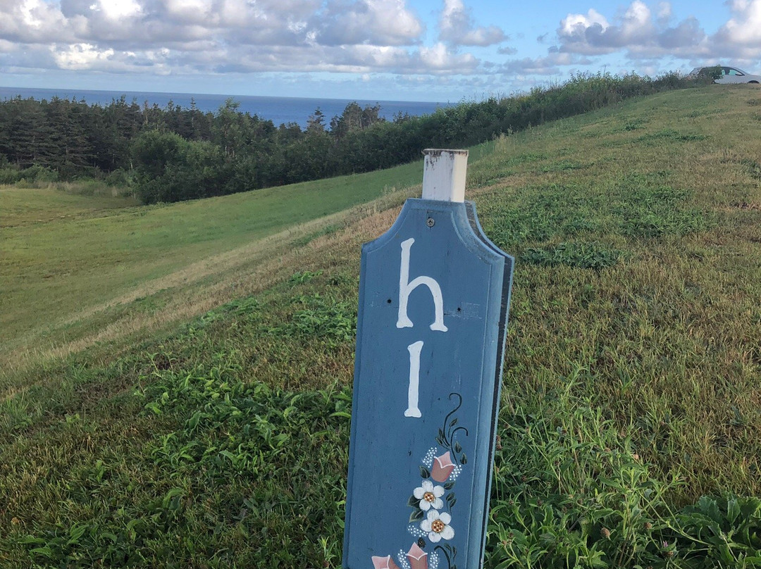 Burton's Sunset Oasis Motel主图