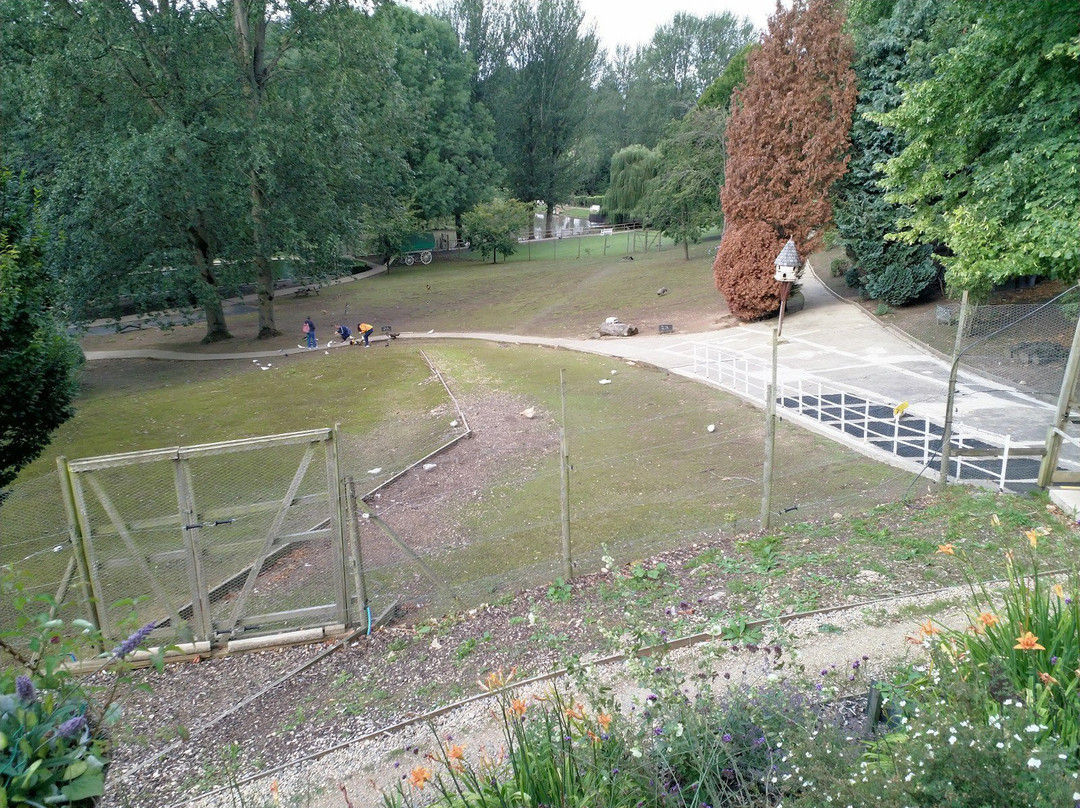 Prinknash Bird And Deer Park景点图片