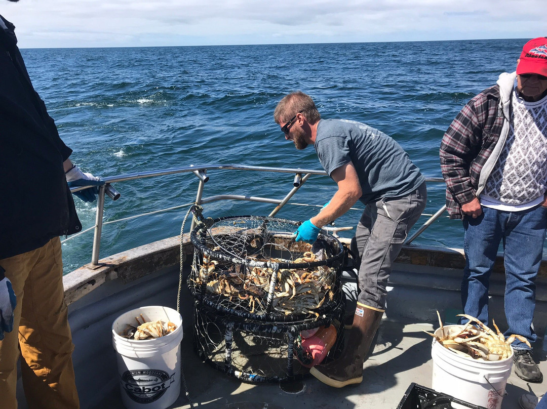 SIGGI-G Ocean Charters-Garibaldi必去景点