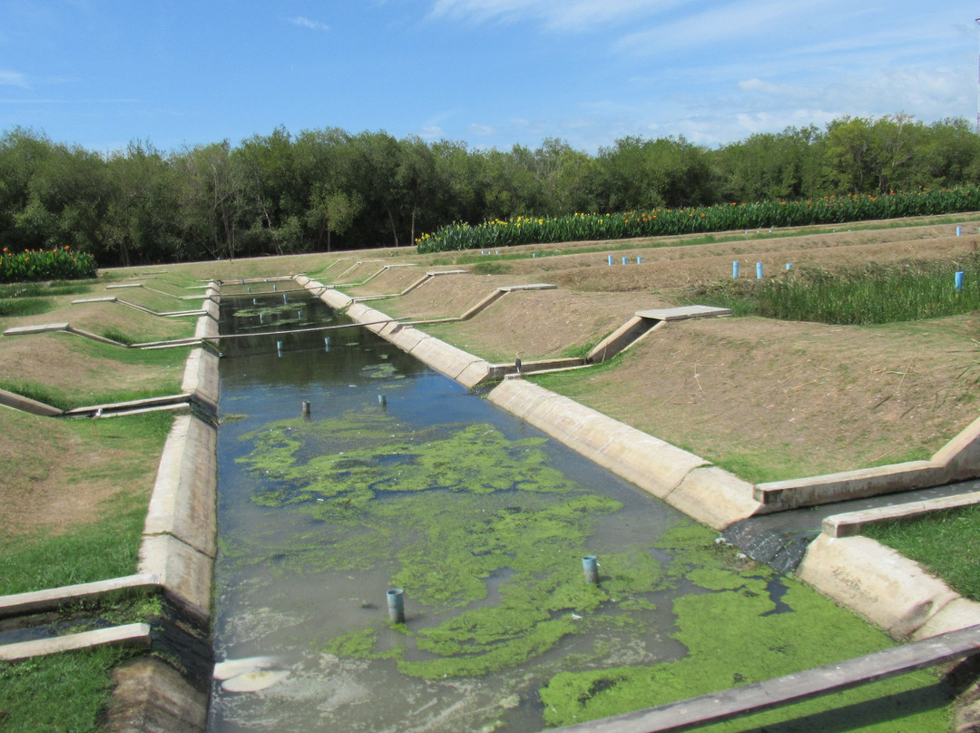Laem Phak Bia Environmental Research and Development Project景点图片