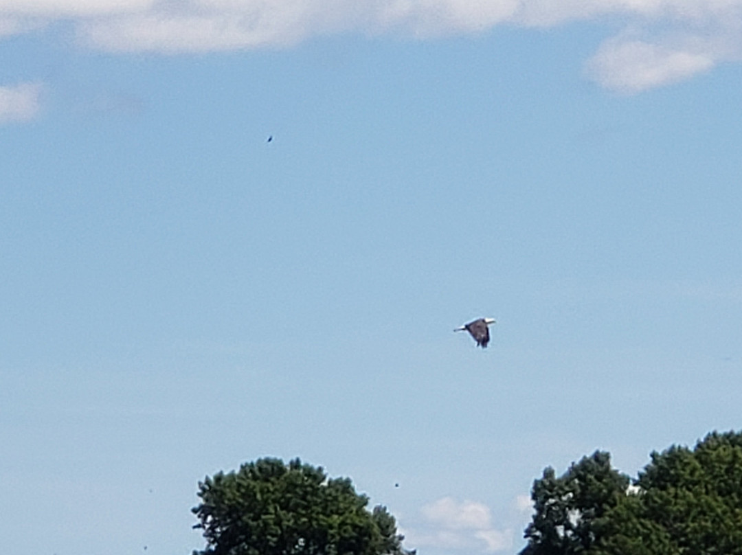 Chester River Kayak Adventures-Rock Hall必去景点