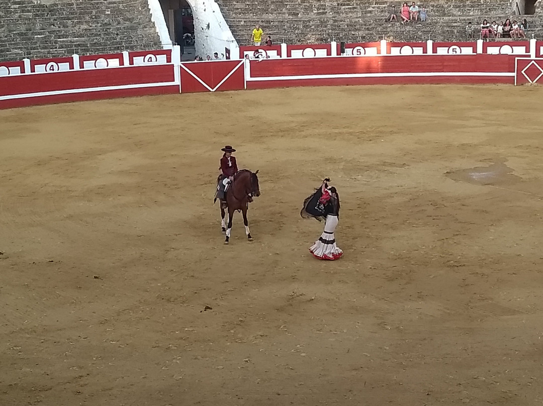 Plaza de Toros Los Rosales-哈罗必去景点