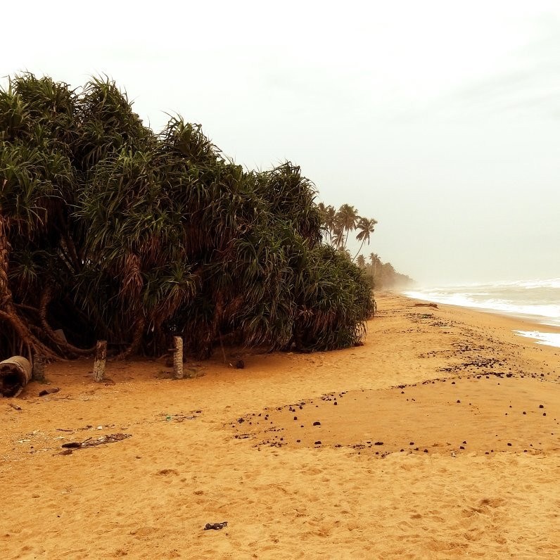 Wadduwa Beach景点图片