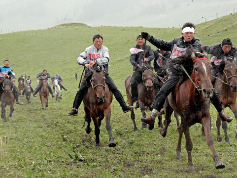 Elephant Tour-厦门市必去景点