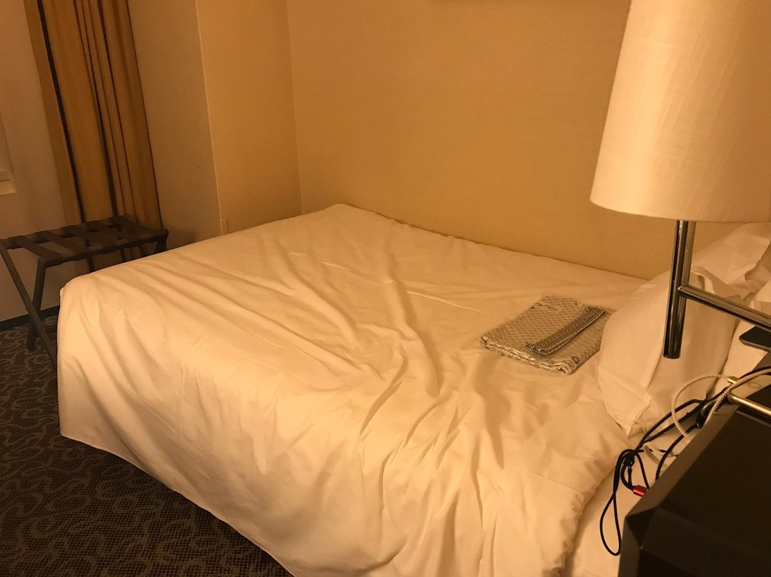 Hotel New Otani Nagaoka主图