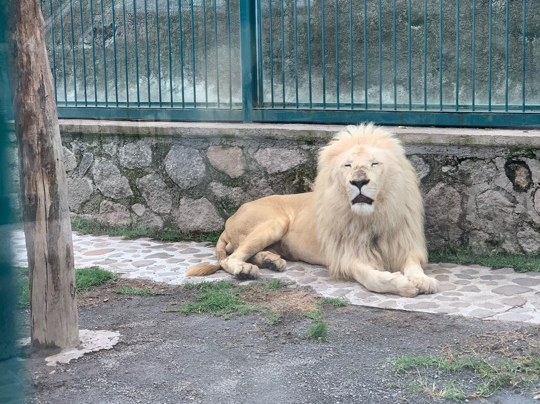 Mundo Granjero & Zoo-Contepec必去景点