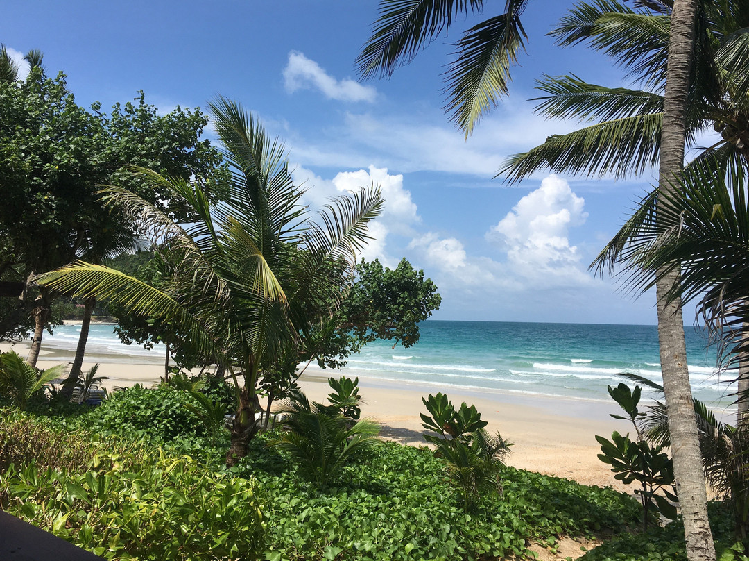 奥普劳度假村主图