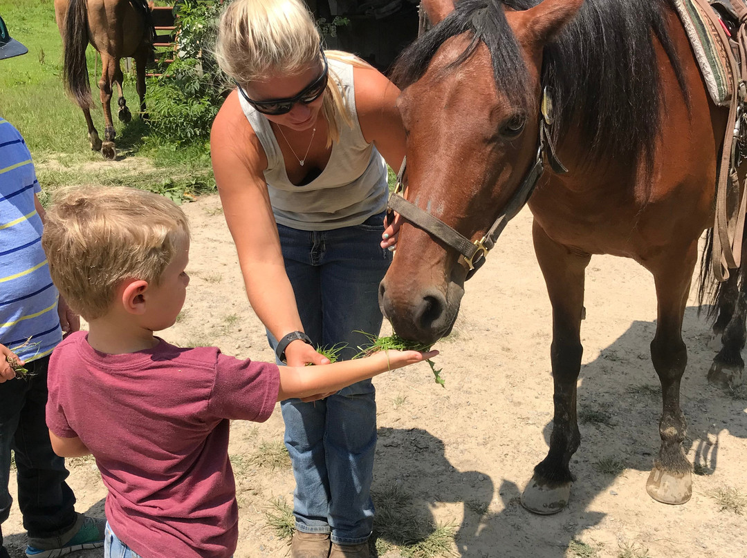 Equestrian Adventures-Fayetteville必去景点