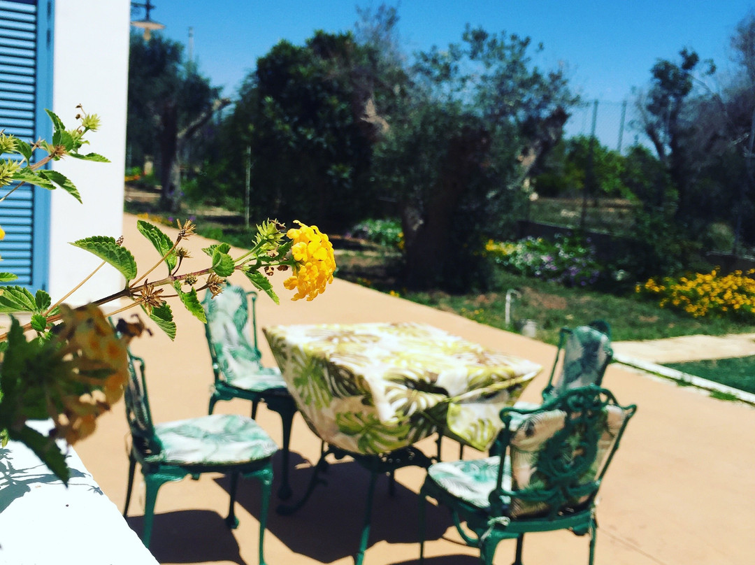 Microborgopasca主图