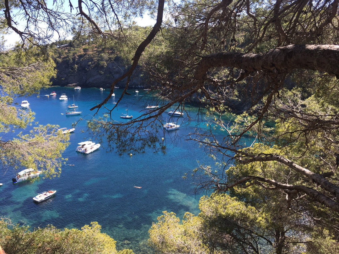 Cala Montjoi景点图片