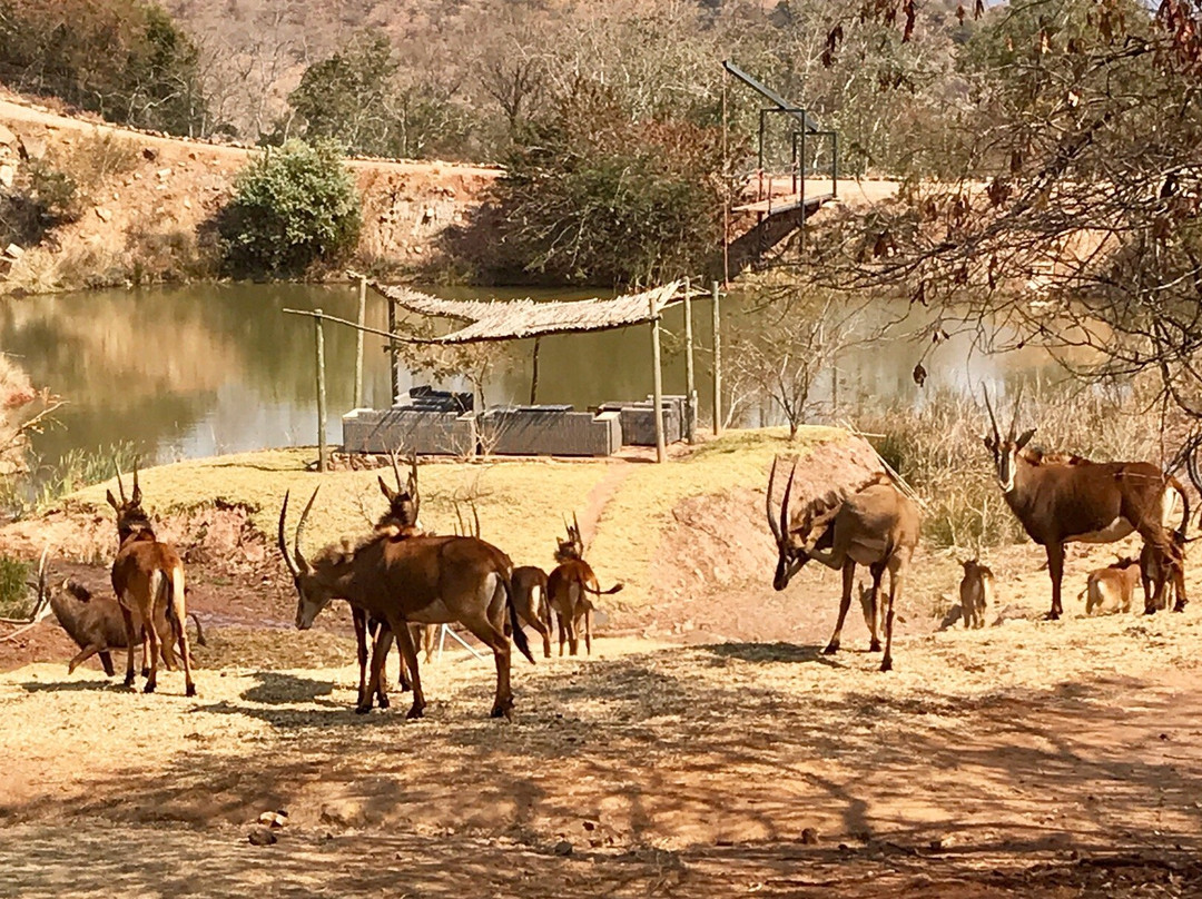 Sable Ranch Hiking Trail-Magaliesburg必去景点
