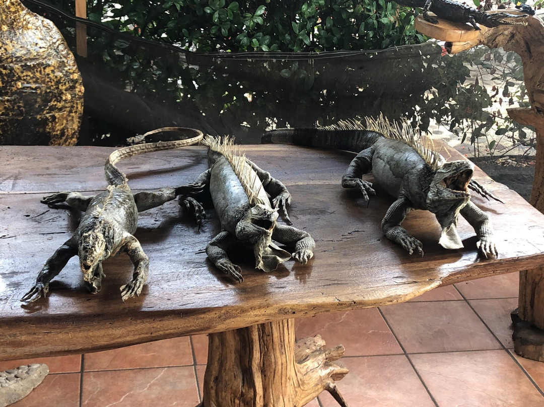 El Tortugario-Cuyutlan必去景点