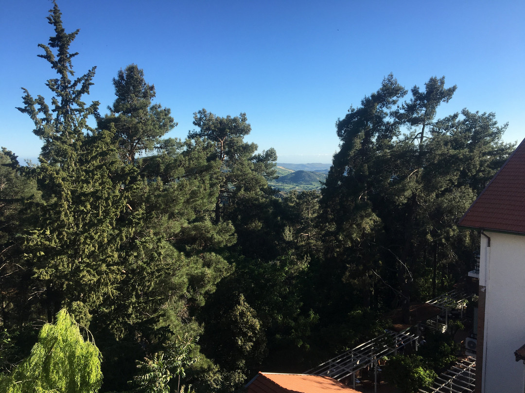 森林公园酒店主图