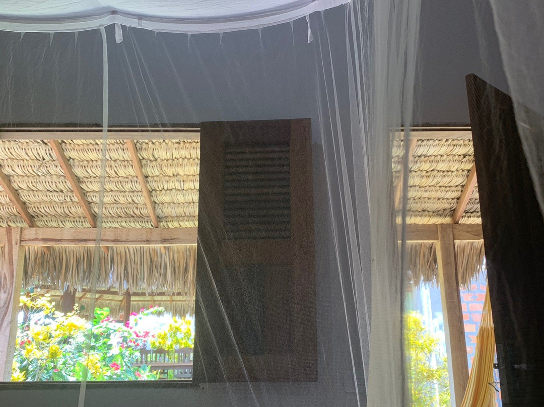 Estrela dos Lencois主图