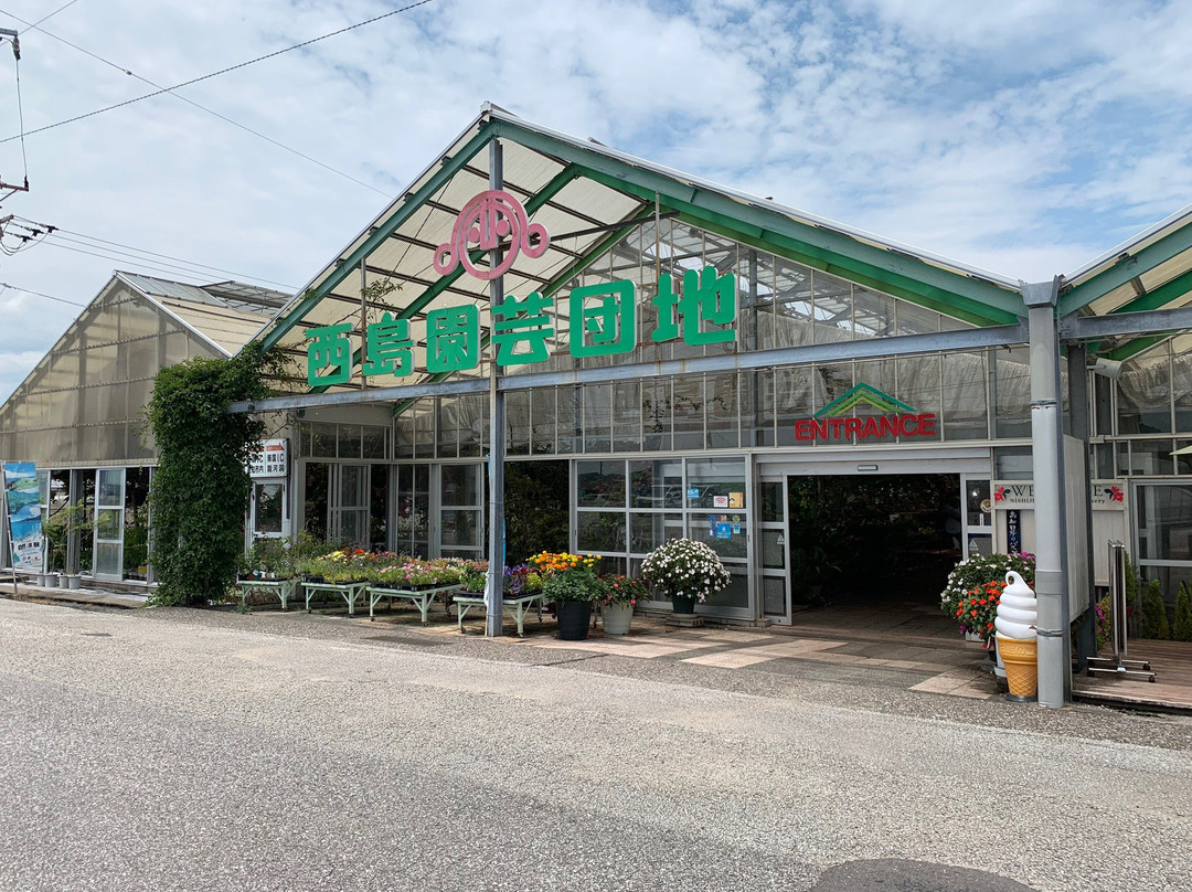 Nishijima Flower Garden-南国市必去景点
