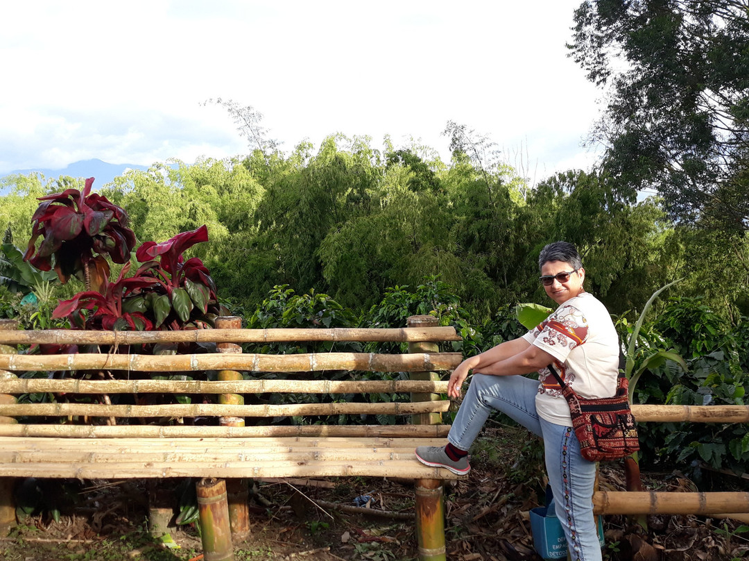 Eco-Hotel Santa Barbara主图