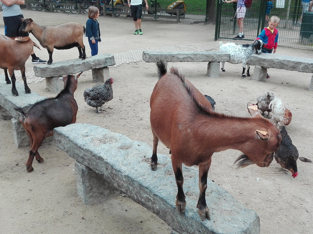 Domaine De Vossemeren Center Parcs主图