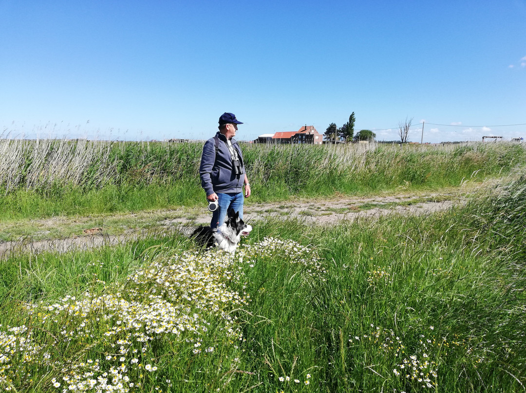 Uitkerkse Polder-布朗肯堡必去景点