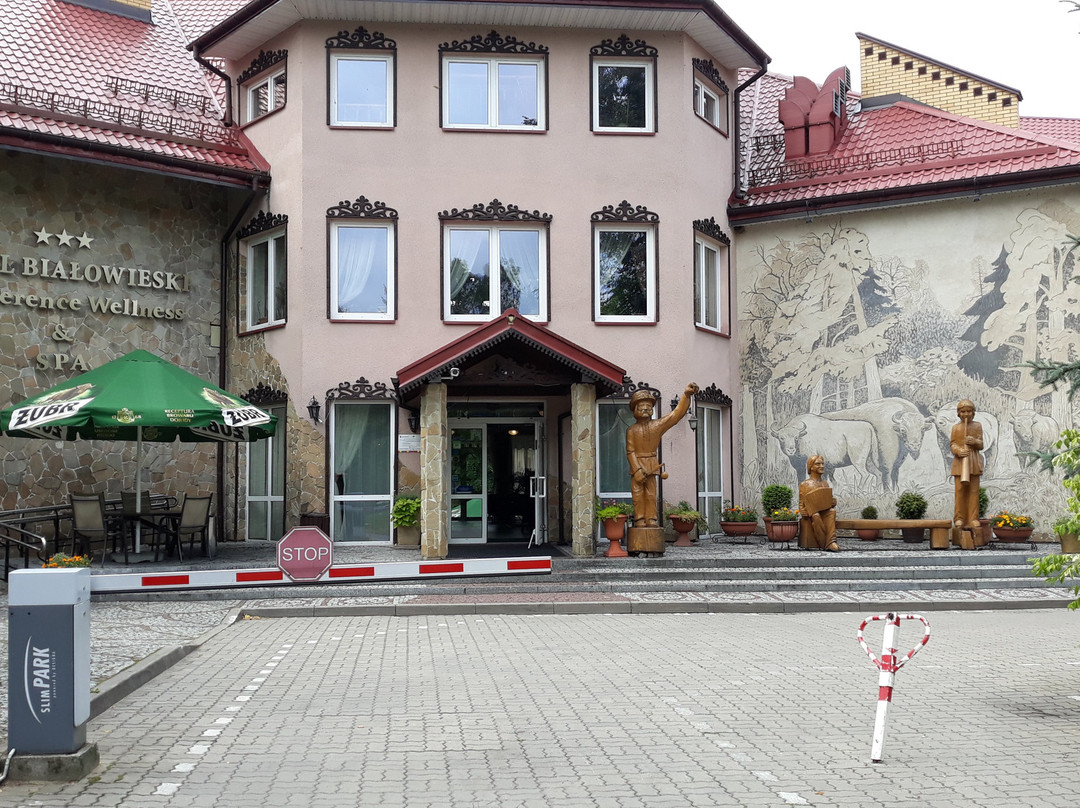 Hotel Bialowieski Conference Wellness & Spa主图