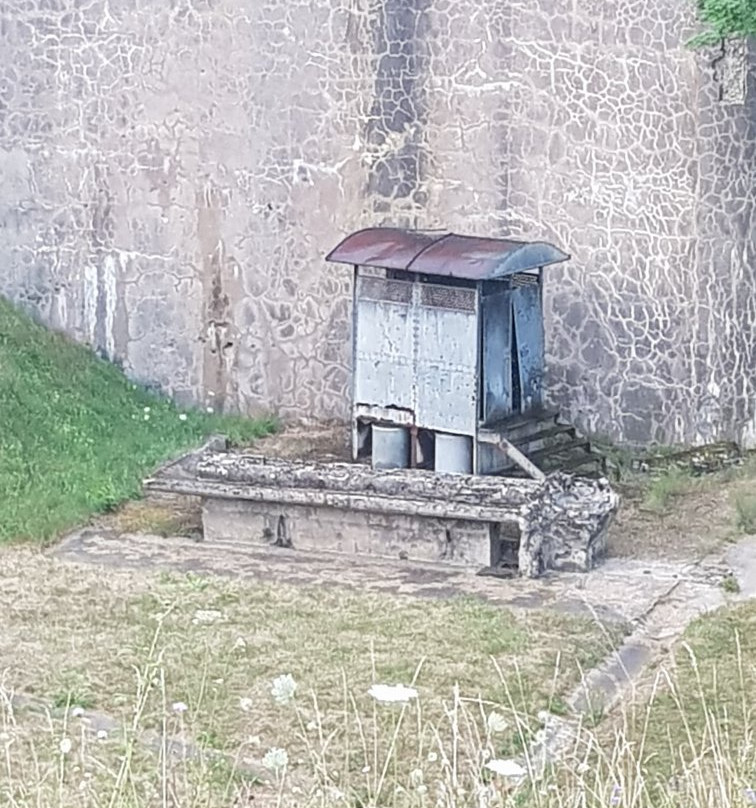 Fort Uxegney景点图片