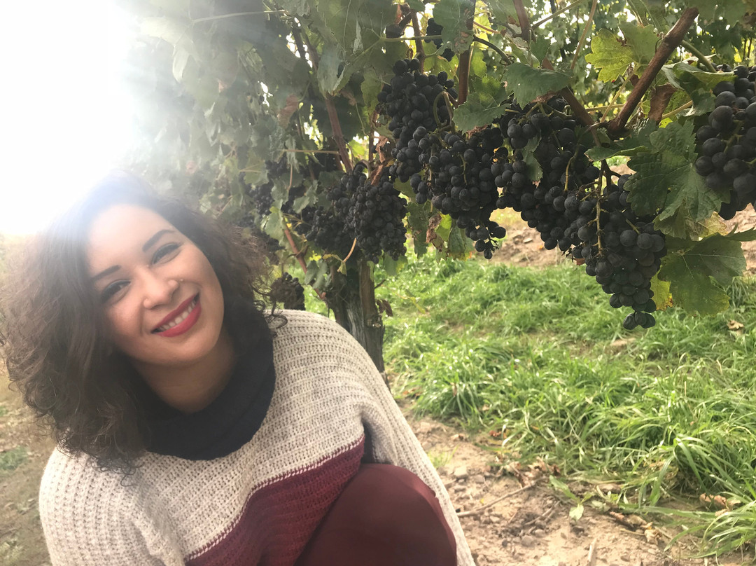 Best Western Colonel Butler Inn主图