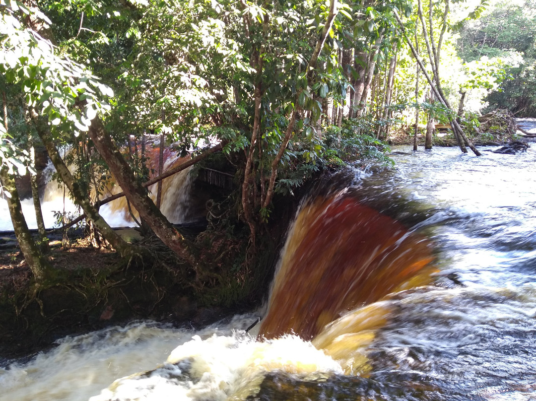 Cachoeira das Araras-Presidente Figueiredo必去景点
