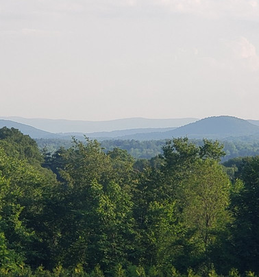 The ButtonBall Inn主图